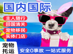 深圳宝安航空空运国际宠物托运 【国